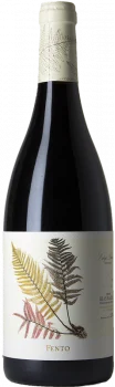 Fento Tinto 2023 - Bodega Fento Wines