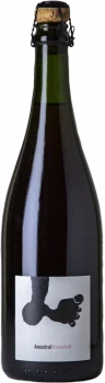 Joan Rubió Monastrell Ancestral 2023 - Bodega Joan Rubió