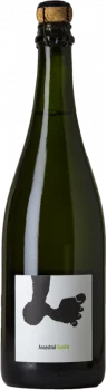 Joan Rubió Xarel.lo Ancestral 2022 - Bodega Joan Rubió