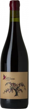 La Filla de Maçaners 2021 - Bodega Celler La Salada