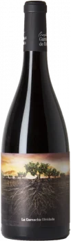 La Garnacha Olvidada de Aragón 2022 - Bodega Proyecto Garnachas