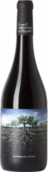 La Garnacha Salvaje del Moncayo 2022 - Bodega Proyecto Garnachas