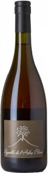 L'Arbre Blanc Les Fesses 2022 - Bodega Domaine L'Arbre Blanc