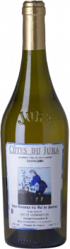 Les Coteaux de Val de Sorne Côtes du Jura Savagnin 2023 - Bodega Jean François Ryon