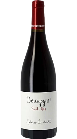 Domaine Antoine Lienhardt - Pinot noir 2022 - Bourgogne