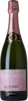 Llopart Rosé Brut Reserva 2022 - Bodega Llopart