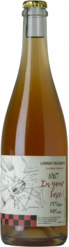 Maxim Lannay Not In Your Face Pet Nat 2020 - Bodega Maxim Lannay