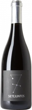 MicroBio Sietejuntos Syrah 2019 - Bodega Microbio Wines