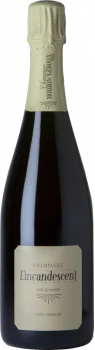 Mouzon Leroux L'Incandescent Rosé de Saignée Extra Brut - Bodega Mouzon Leroux