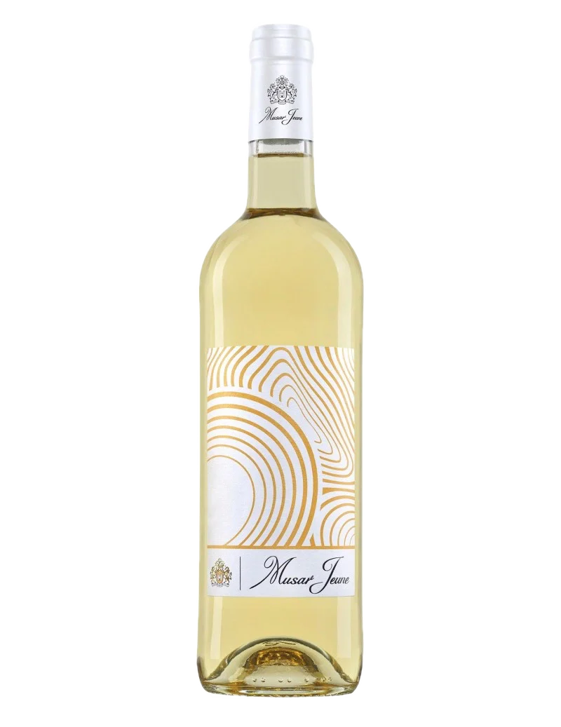 Château Musar - Vallée de la Bekaa Jeune Blanc 2020