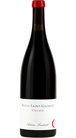 Domaine Antoine Lienhardt - 2021 - Nuits-Saint-Georges