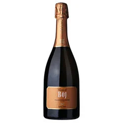 Valdobbiadene Prosecco Superiore Brut DOCG Cuvée di Boj Valdo