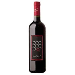 Toscana IGT Rosso Ribelle 2020 Terre Nere
