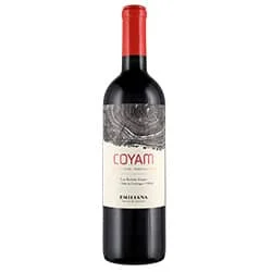 Valle de Colchagua DO Coyam 2020 Emiliana