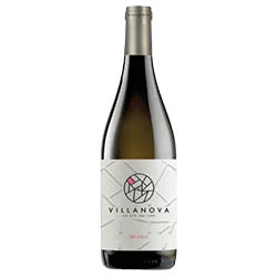 Friuli Isonzo DOC Merlot 2020 Villanova