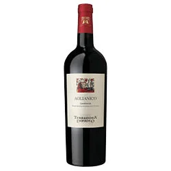 Campania IGT Aglianico 2020 Terredora