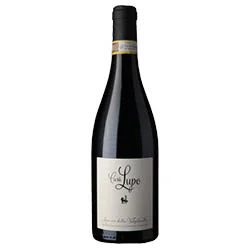 Amarone della Valpolicella DOCG 2020 Casa Lupo