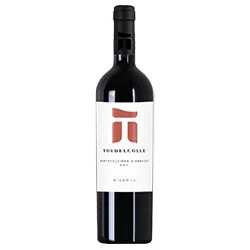 Montepulciano d'Abruzzo DOC Riserva 2020 Tor Del Colle