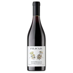 Montefalco Sagrantino DOCG 2019 Villa da Filicaja