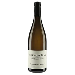 Bourgogne AOC Blanc Les Belles Côtes 2021 Domaine Pierre Boisson