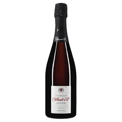 Champagne AOC Brut Rosé Premier Cru Cuvée Rubis Vilmart & Cie