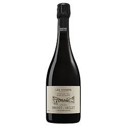 Champagne AOC Extra Brut Blanc de Blancs Premier Cru Les Nogers 2018 Dhondt-Grellet