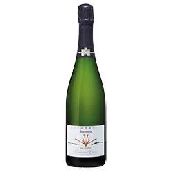 Champagne AOC Extra Brut Jouvence 2013 Françoise Bedel