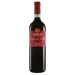 Valpolicella Superiore Ripasso DOC Campo dei Ciliegi 2019 Ilatium Morini