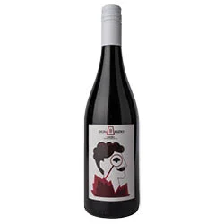 Umbria IGT Rosso Don Brizio 2022 Briziarelli