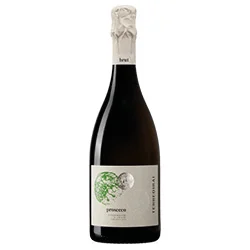 Prosecco DOC Treviso Brut Terre di Rai
