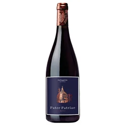 Toscana IGT Pinot Nero Pater Patriae 2016 Tenuta Cafaggiolo