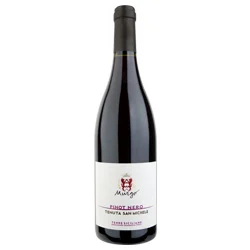 Terre Siciliane IGT Pinot Nero Tenuta San Michele 2021 Murgo