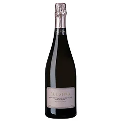 Vino Spumante di Qualità Rosé Brut Metodo Classico Fèlsina