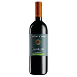 Valpolicella Classico DOC Biologico 2023 Domini Veneti