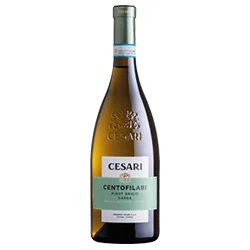 Garda DOC Pinot Grigio Centofilari 2023 Gerardo Cesari