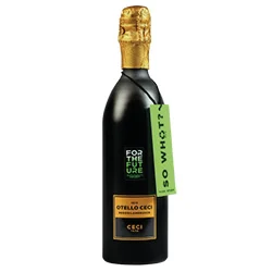 Lambrusco dell'Emilia IGT For the Future Nero di Lambrusco Cantine Ceci