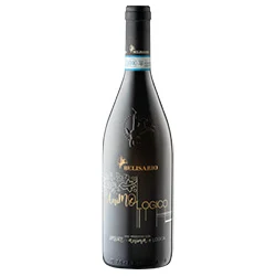 Verdicchio di Matelica DOC Bio No Solfiti AnimoLogico 2023 Belisario