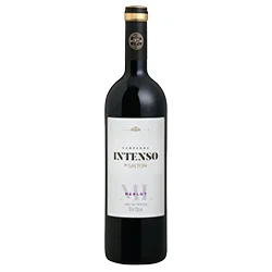 Campanha DO Merlot Intenso 2022 Salton