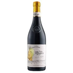 Langhe DOC Rosso Pietra Magica Stupore 2020 Casa E. di Mirafiore
