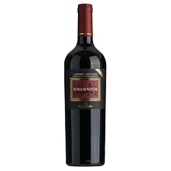 Südtirol - Alto Adige DOC Cabernet Riserva Burgum Novum 2020 Castelfeder