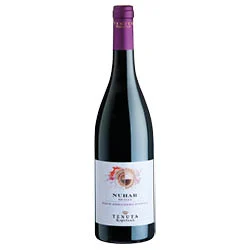Sicilia DOC Pinot Nero Nero d'Avola Nuhar 2021 Tenuta Rapitalà