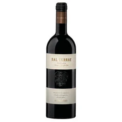 Toscana IGT Rosso Sal Terrae 2020 Il Palazzo