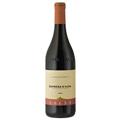 Barbera d'Alba DOC Bricco dei Merli 2022 Elvio Cogno