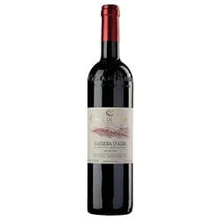 Barbera d'Alba DOC 2023 Costa di Bussia