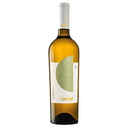 Salento IGP Chardonnay Cantalupi 2024 Conti Zecca