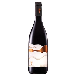 Rosso di Torgiano DOC Auravitae 2022 Tenute Baldo