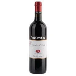 Barbera d'Alba DOC 2023 Pio Cesare