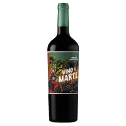 Mendoza IG Malbec Vino de Marte 2023 Baudron