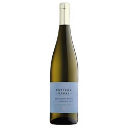 Trentino DOC Bottega Vinai Sauvignon Blanc 2024 Cavit