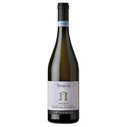 Spoleto DOC Trebbiano Spoletino Trebium 2024 Antonelli